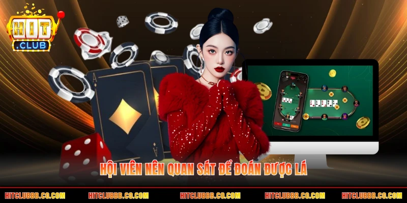 Hội viên nên quan sát để đoán được lá Hội viên nên quan sát để đoán được lá
